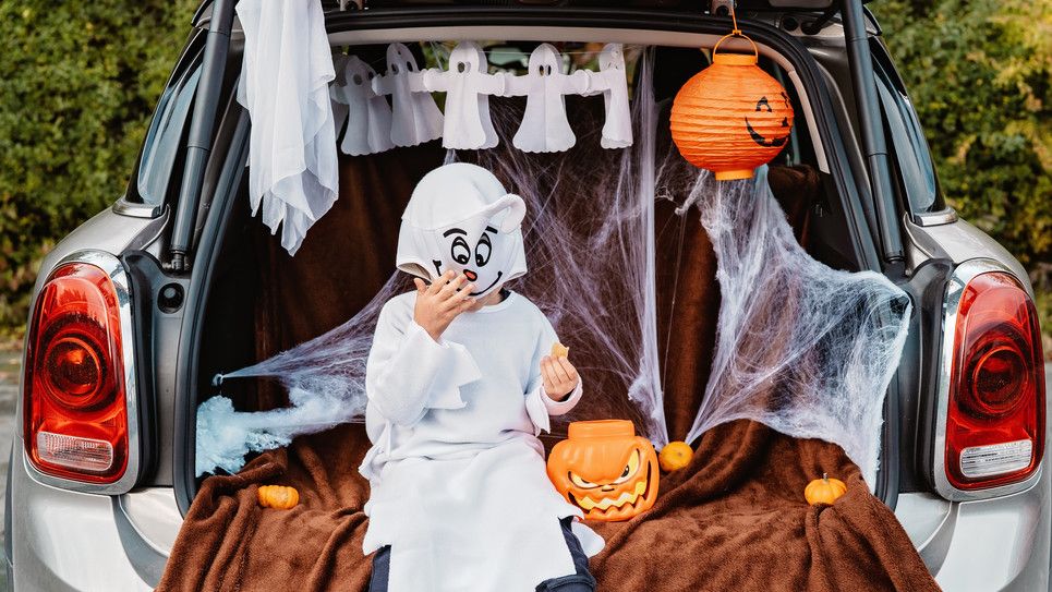 NPS NSAM: Fall Fest
