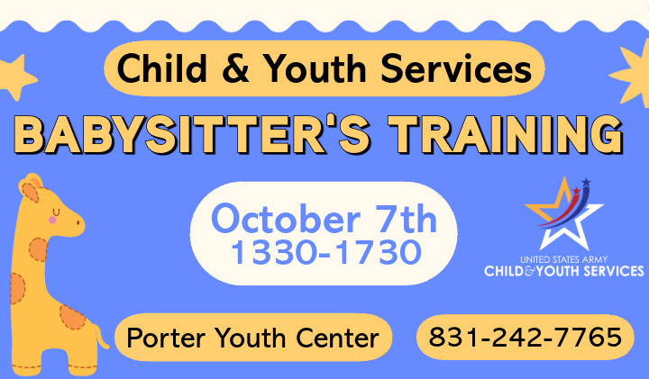 Babysitter's Training